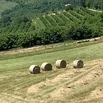 La Luce Delle Colline