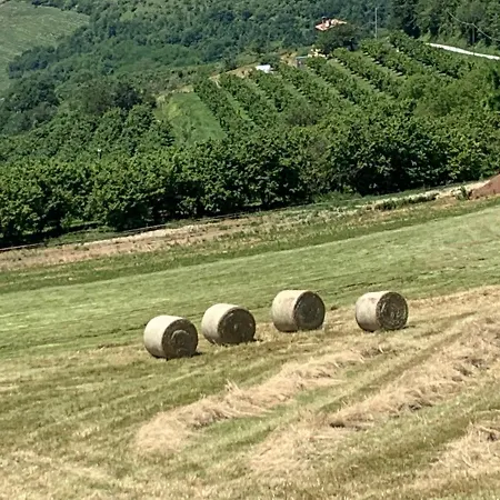 La Luce Delle Colline