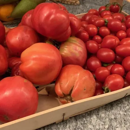 La Luce Delle Colline Couette-café Serravalle delle Langhe