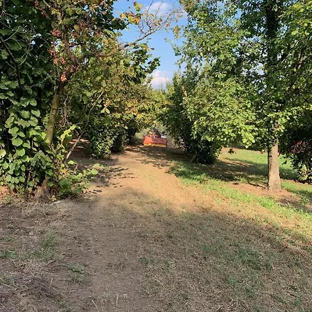 La Luce Delle Colline