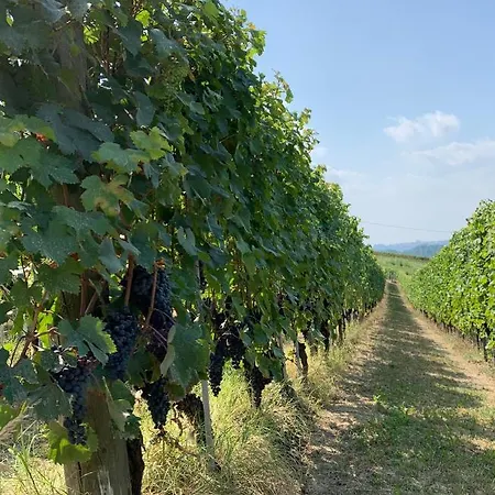 Couette-café La Luce Delle Colline 4*