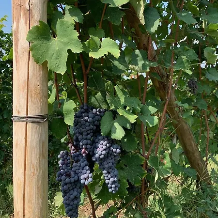 B&B La Luce Delle Colline 4*