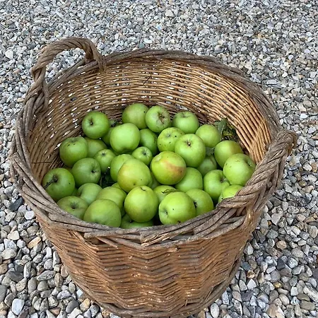 La Luce Delle Colline Couette-café 4*