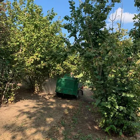 La Luce Delle Colline Couette-café