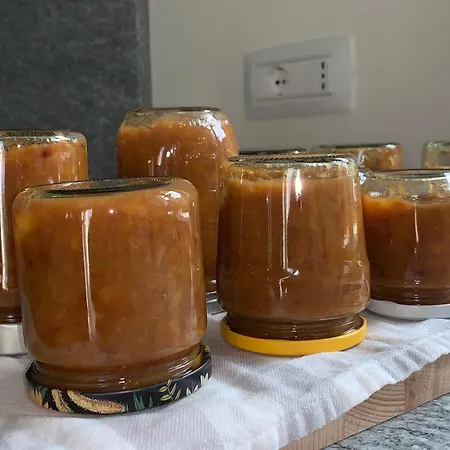 La Luce Delle Colline Couette-café Serravalle delle Langhe