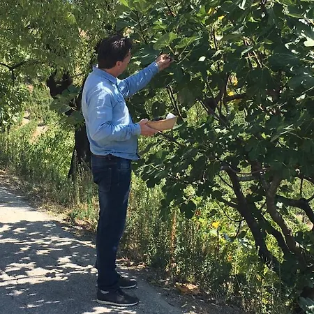 La Luce Delle Colline Couette-café Serravalle delle Langhe