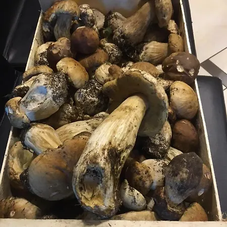 La Luce Delle Colline Couette-café 4*