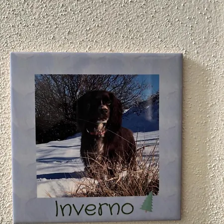 La Luce Delle Colline B&B