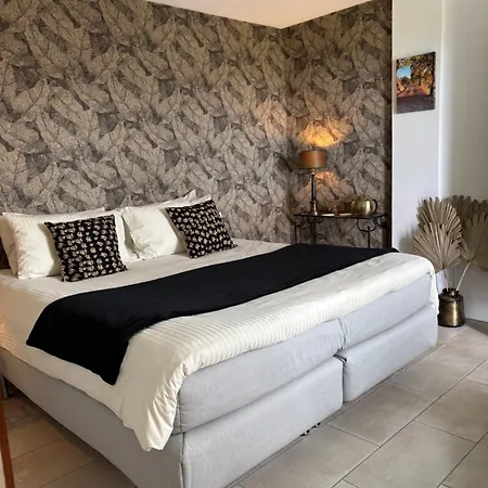 B&B La Luce Delle Colline 4*