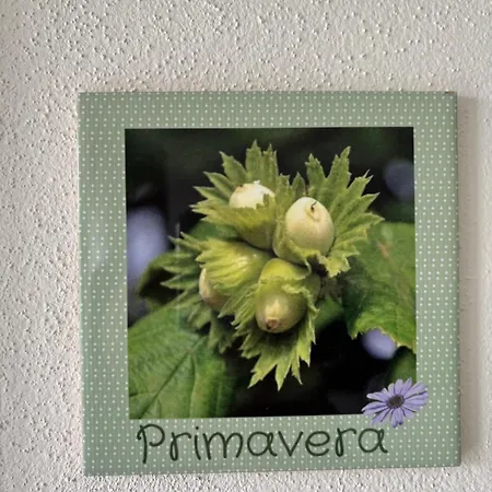 La Luce Delle Colline B&B