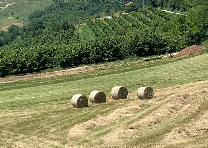 La Luce Delle Colline
