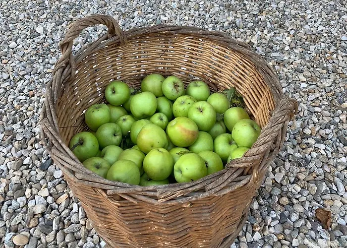 La Luce Delle Colline ベッド・アンド・ブレックファスト 3*