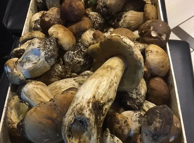 La Luce Delle Colline B&B 3*